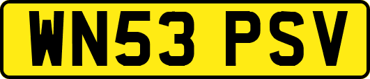 WN53PSV