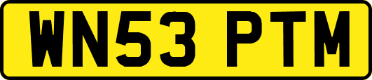 WN53PTM