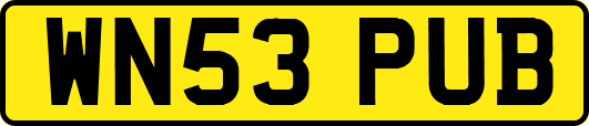 WN53PUB