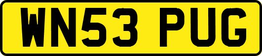 WN53PUG
