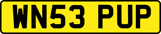 WN53PUP