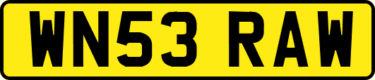 WN53RAW