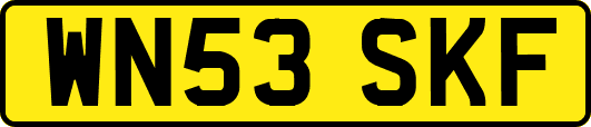 WN53SKF