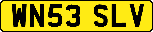 WN53SLV