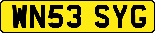 WN53SYG