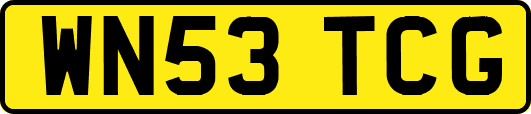 WN53TCG