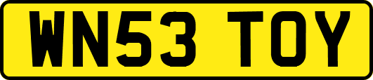 WN53TOY