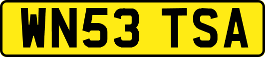 WN53TSA