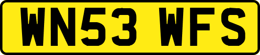 WN53WFS