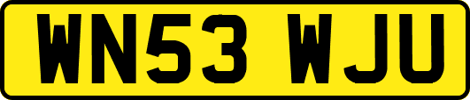 WN53WJU
