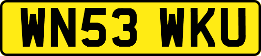 WN53WKU