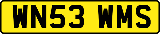 WN53WMS