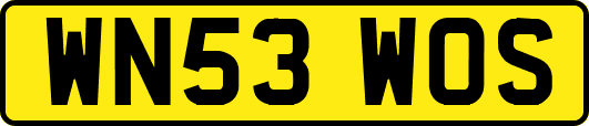 WN53WOS