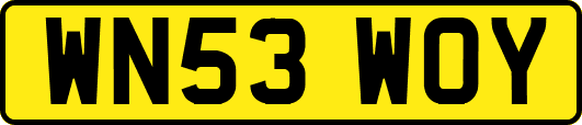 WN53WOY