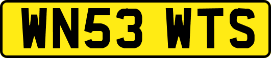 WN53WTS