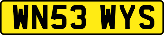 WN53WYS