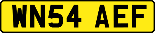 WN54AEF