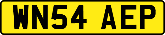 WN54AEP