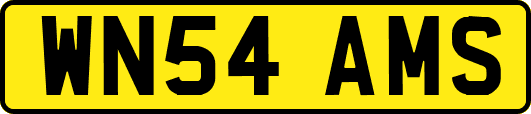 WN54AMS