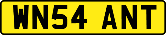 WN54ANT