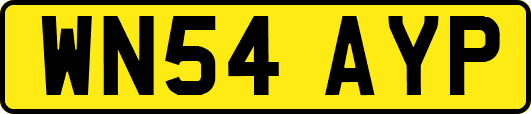 WN54AYP