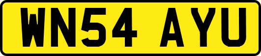 WN54AYU
