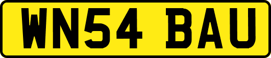 WN54BAU