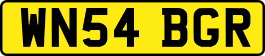 WN54BGR