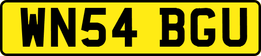 WN54BGU
