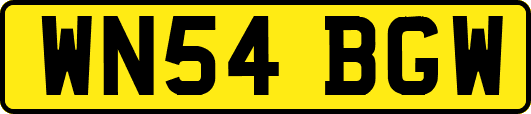 WN54BGW