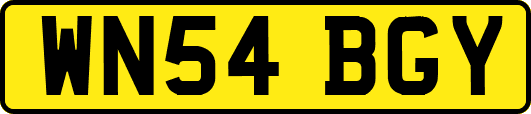 WN54BGY