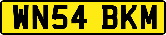 WN54BKM