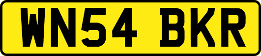 WN54BKR