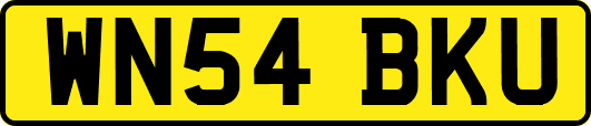 WN54BKU