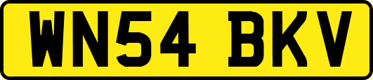 WN54BKV