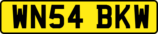 WN54BKW