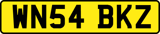 WN54BKZ