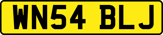 WN54BLJ