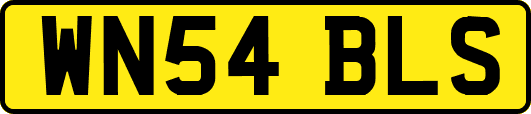 WN54BLS