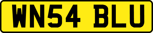 WN54BLU