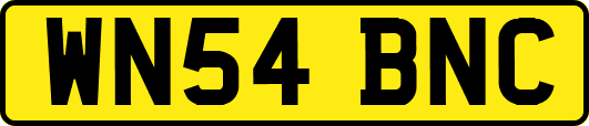 WN54BNC