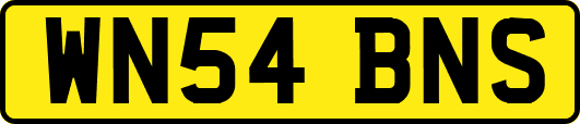 WN54BNS