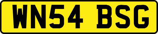 WN54BSG