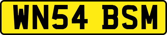 WN54BSM