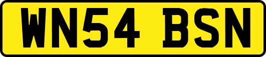 WN54BSN