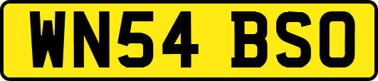 WN54BSO