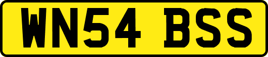 WN54BSS