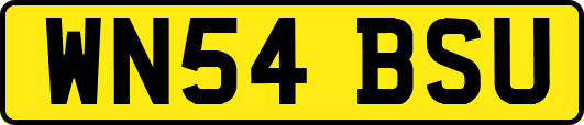 WN54BSU