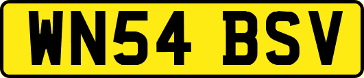 WN54BSV