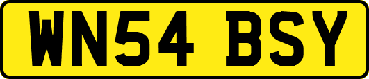 WN54BSY